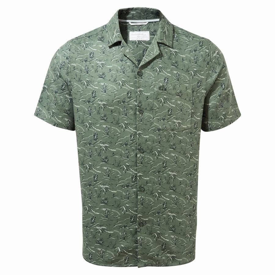 Chemises Craghoppers Nosibotanical Hula Corta Sleeved Homme Vert | XBQ4697SR