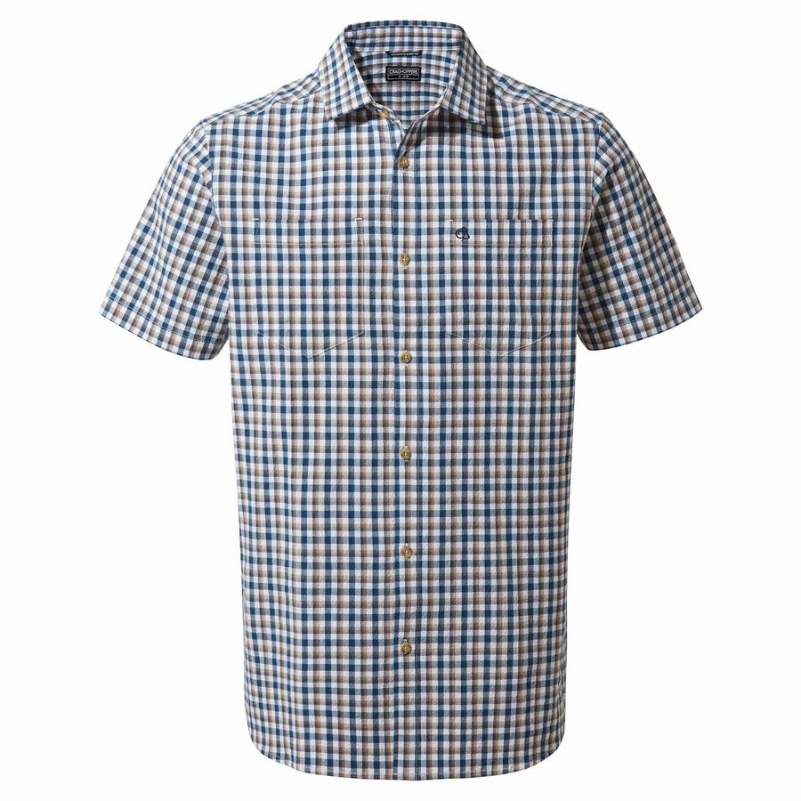 Chemises Craghoppers Nour Corta Sleeved Check Homme Bleu Bleu Marine | YNS9143JQ