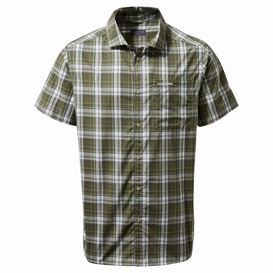 Chemises Craghoppers Vernon Corta Sleeved Homme Vert | ZIZ3944NO