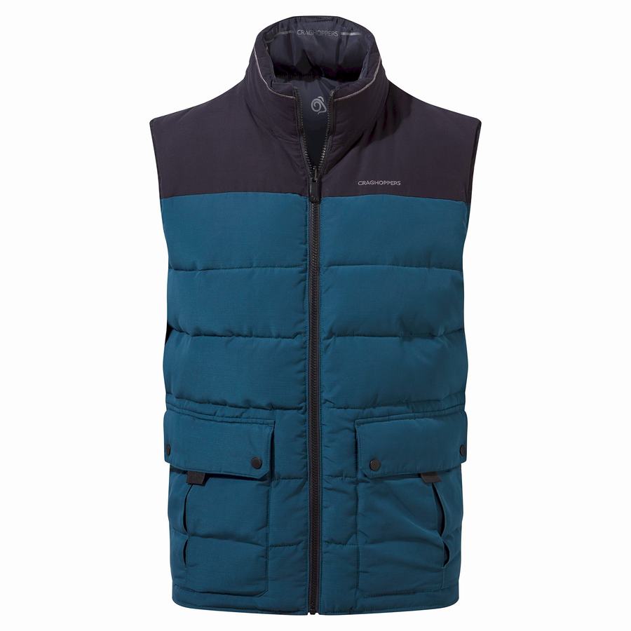 Gilet Craghoppers Trillick Downlike Homme Bleu Marine Bleu | SQD2363LS