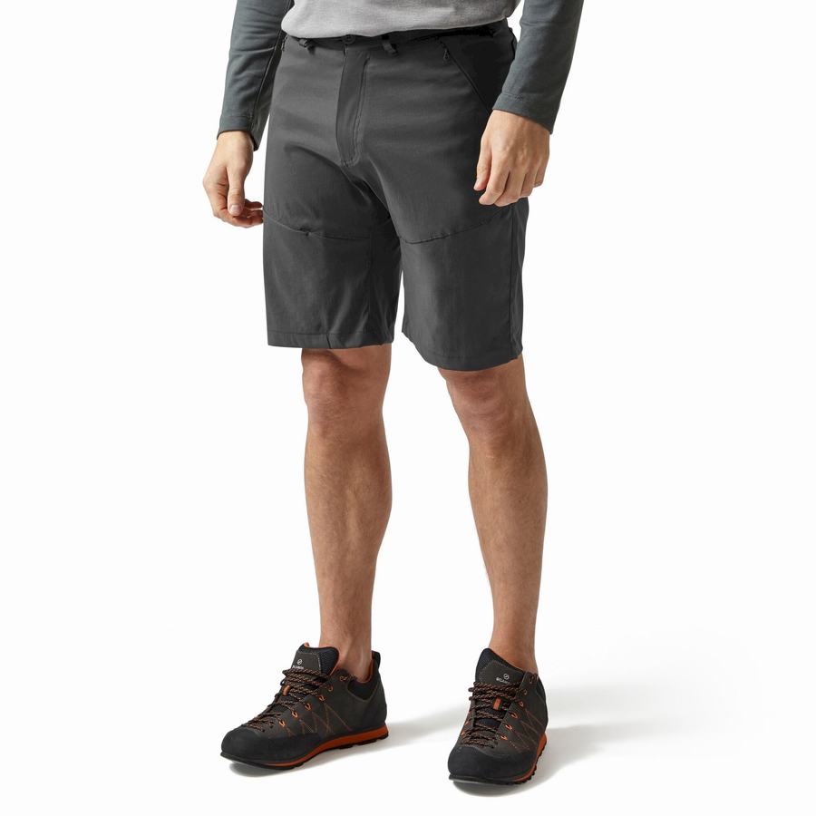 Shorts Craghoppers Kiwi Pro Homme Grise Foncé | DPP3716TU