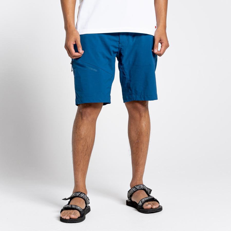 Shorts Craghoppers NosiLife Pro Active Homme Bleu Marine Bleu | WAQ8521YU