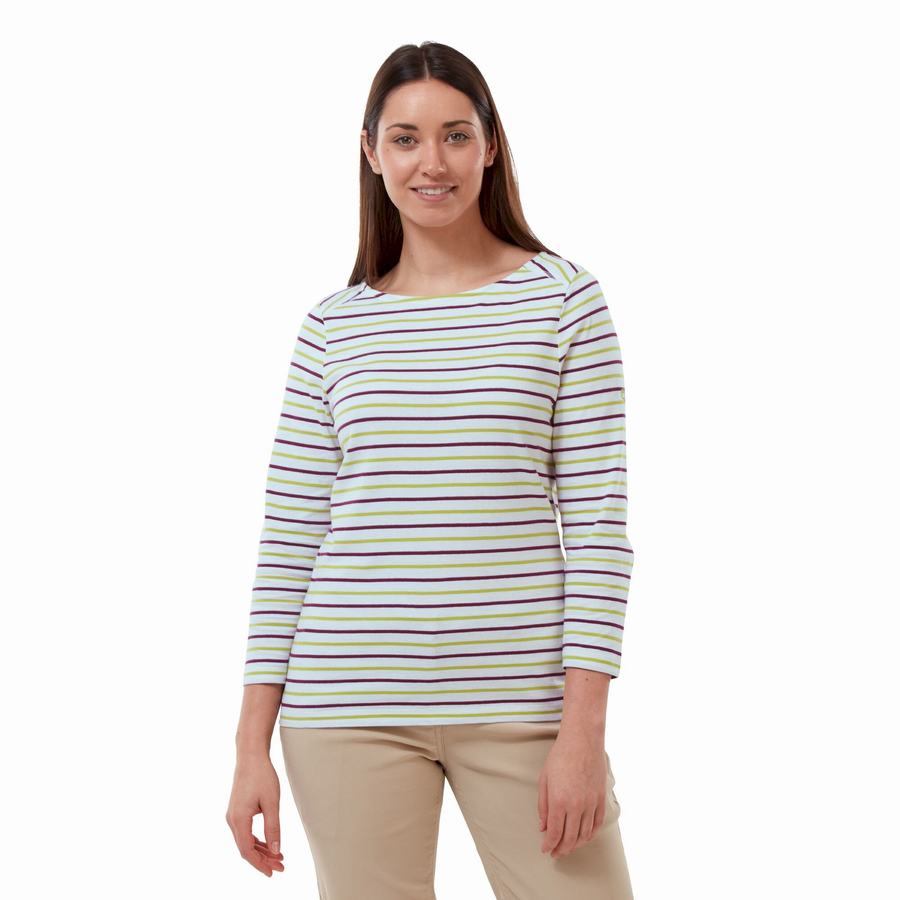 T Shirts Craghoppers Blanca 3/4 Sleeved Top Femme Vert Clair Stripes | RAD8159VR