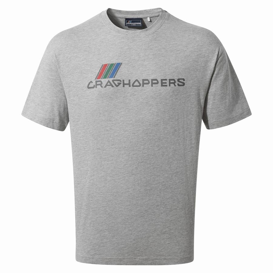 T Shirts Craghoppers Crosby Corta Sleeved Homme Grise | KZB7954ZU