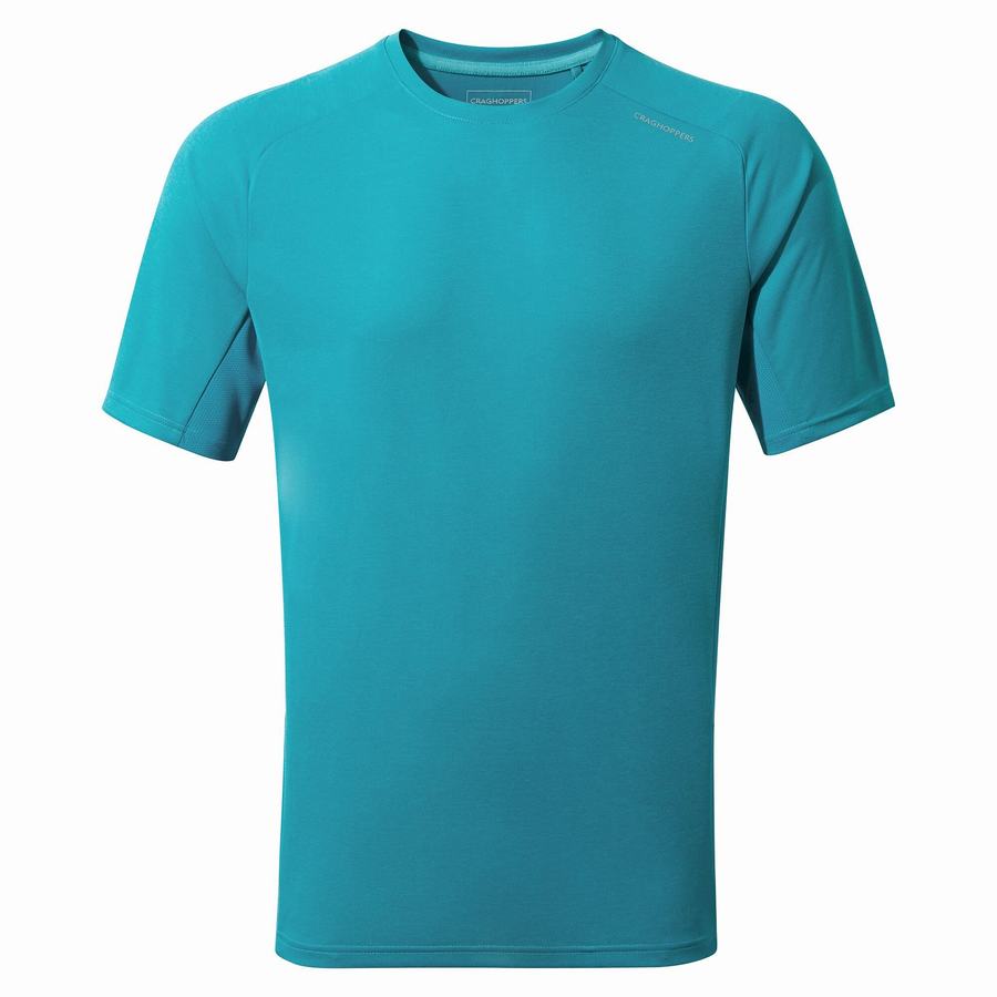 T Shirts Craghoppers Dynamic Pro Corta Sleeved Homme Bleu | FIJ158CC