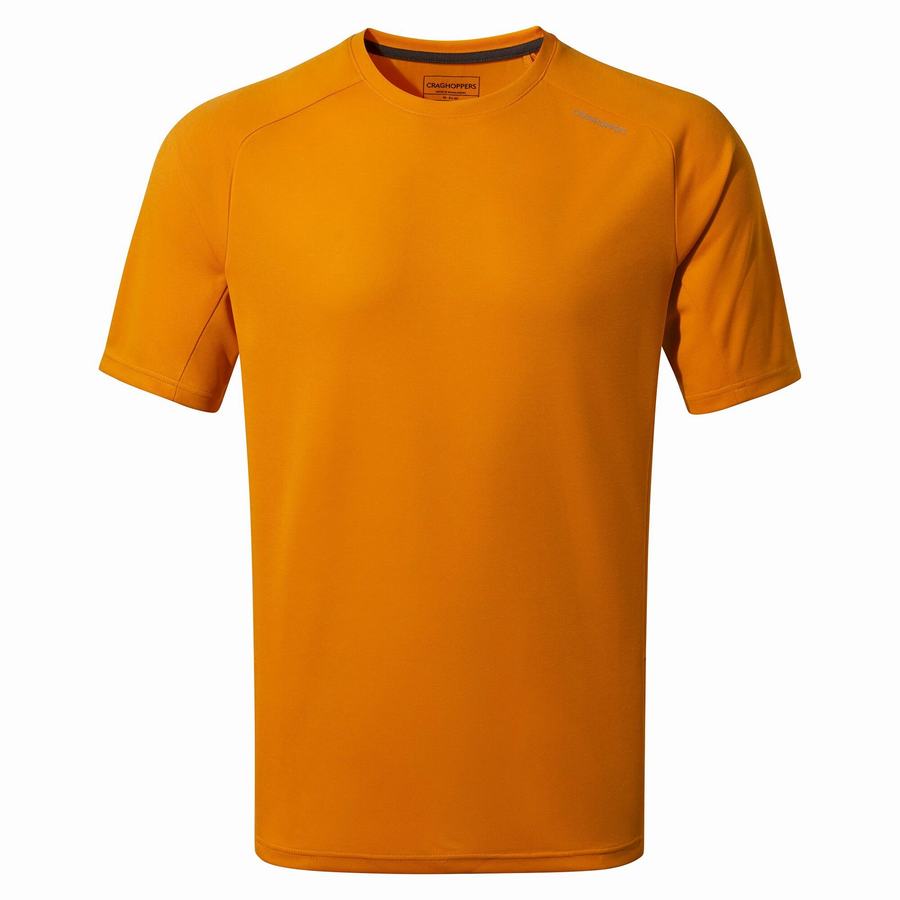 T Shirts Craghoppers Dynamic Pro Corta Sleeved Homme Orange | SUS6265CX