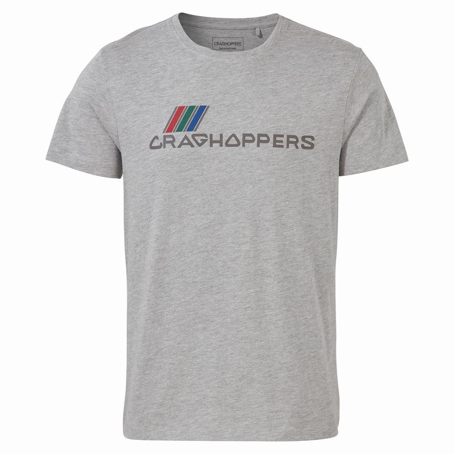 T Shirts Craghoppers Lugo Corta Sleeved Homme Grise | LWY5671KJ