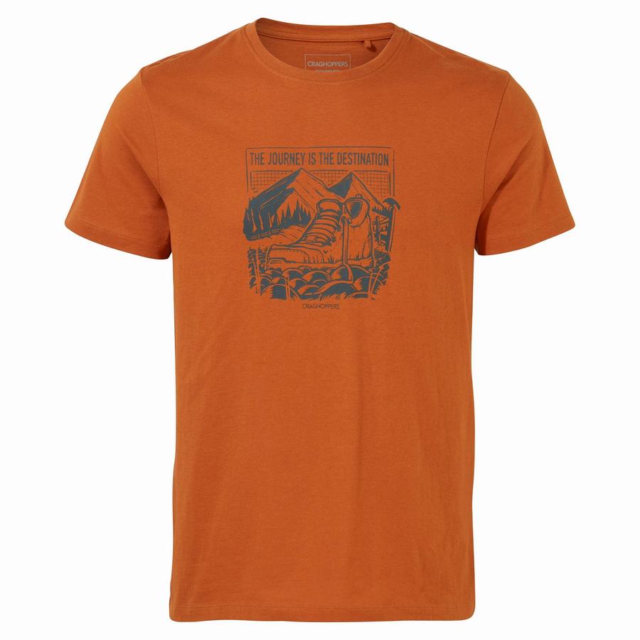 T Shirts Craghoppers Lugo Corta Sleeved Homme Orange | MEV3578YW