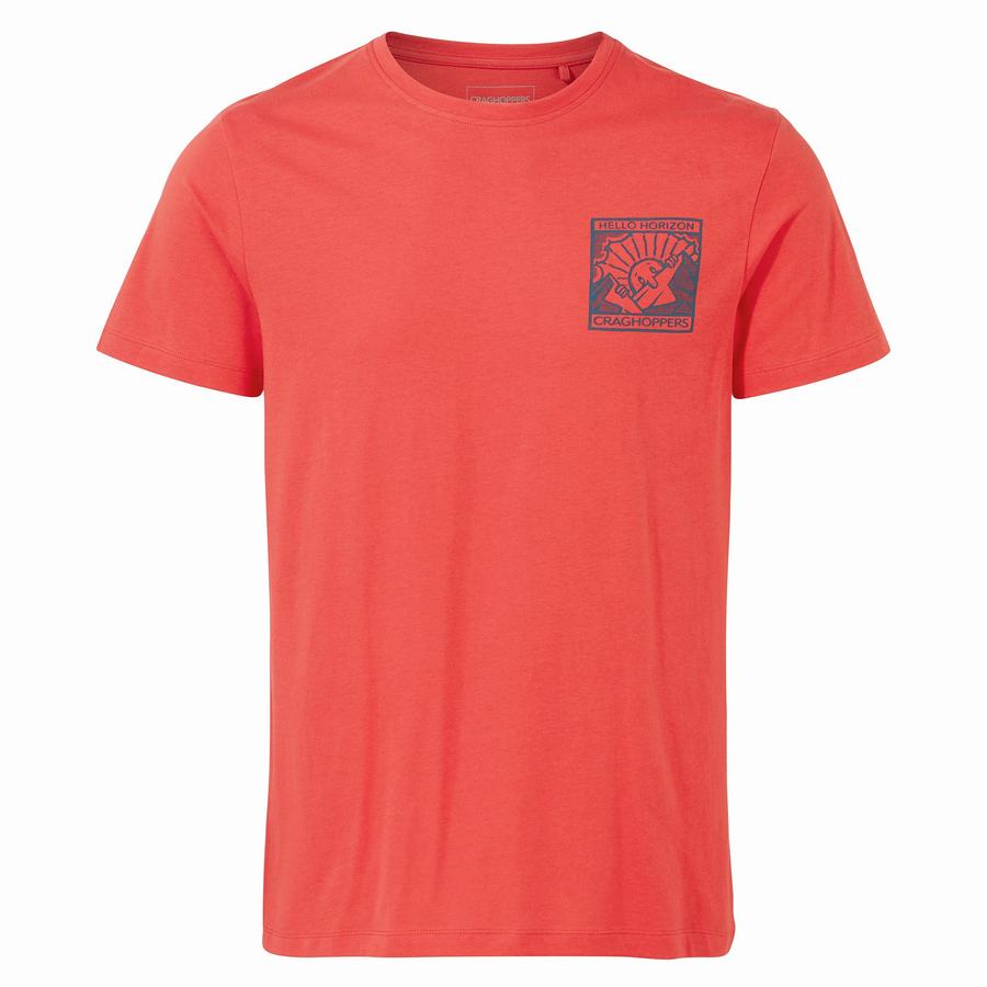 T Shirts Craghoppers Lugo Corta Sleeved Homme Orange Rouge | OXW6150AW