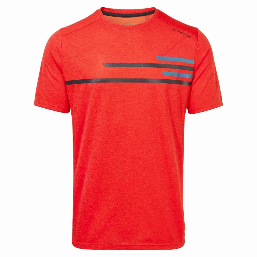 T Shirts Craghoppers NosiLife Pro Active Corta Sleeved Homme Orange Rouge | PMG8179AT