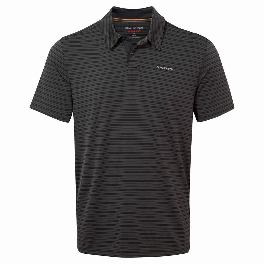 T Shirts Craghoppers NosiLife Pro Corta Sleeved Polo Homme Noir Stripes | DIT6138TA