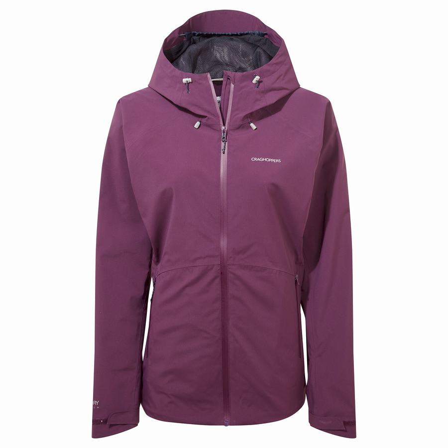 Vestes Craghoppers Anza Femme Violette | DFI7262AN