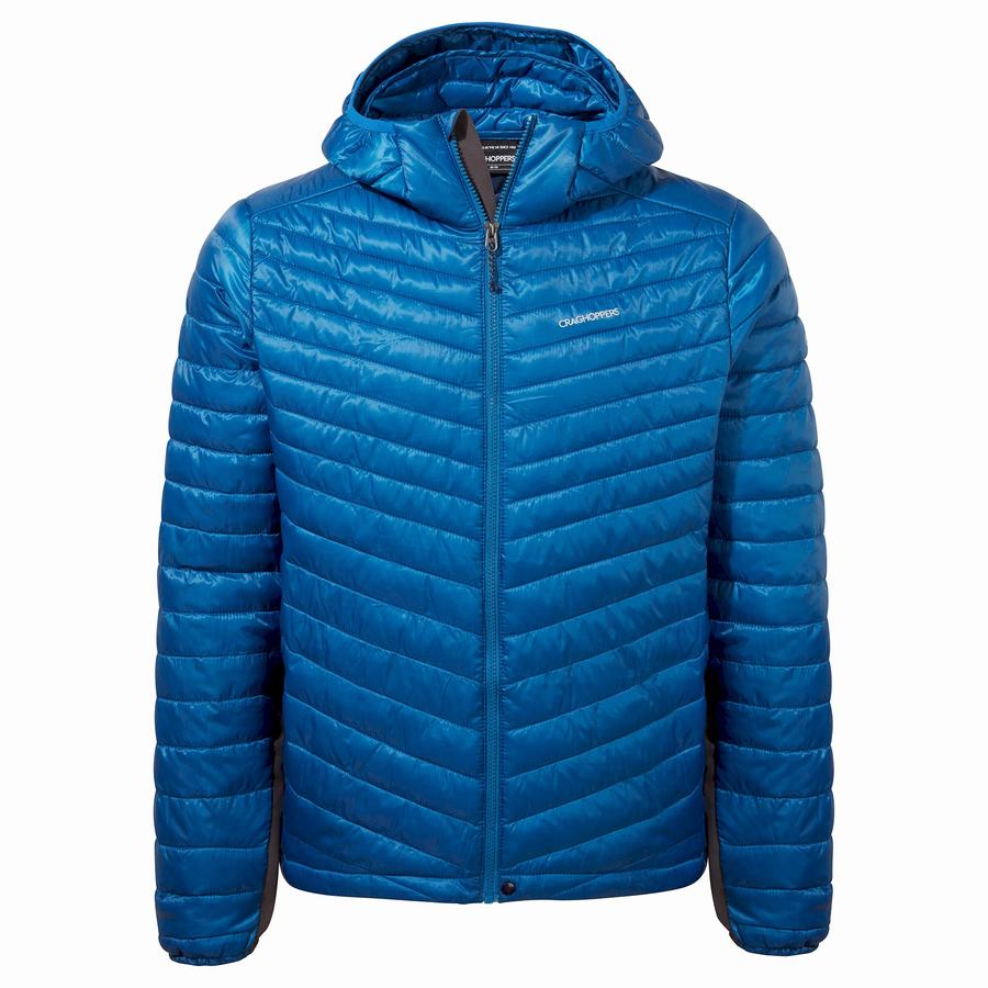 Vestes Craghoppers ExpoLite Insulated Encapuchonné Homme Bleu | XTT1829EM