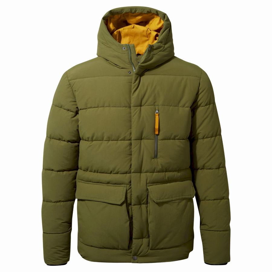 Vestes Craghoppers Insulated Cromarty Homme Vert | CDZ5026GV