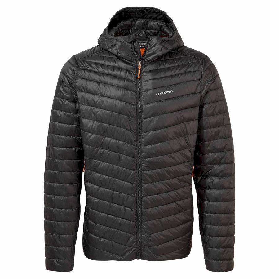 Vestes Craghoppers Insulated ExpoLite Encapuchonné Homme Noir Orange | BIB9987DH