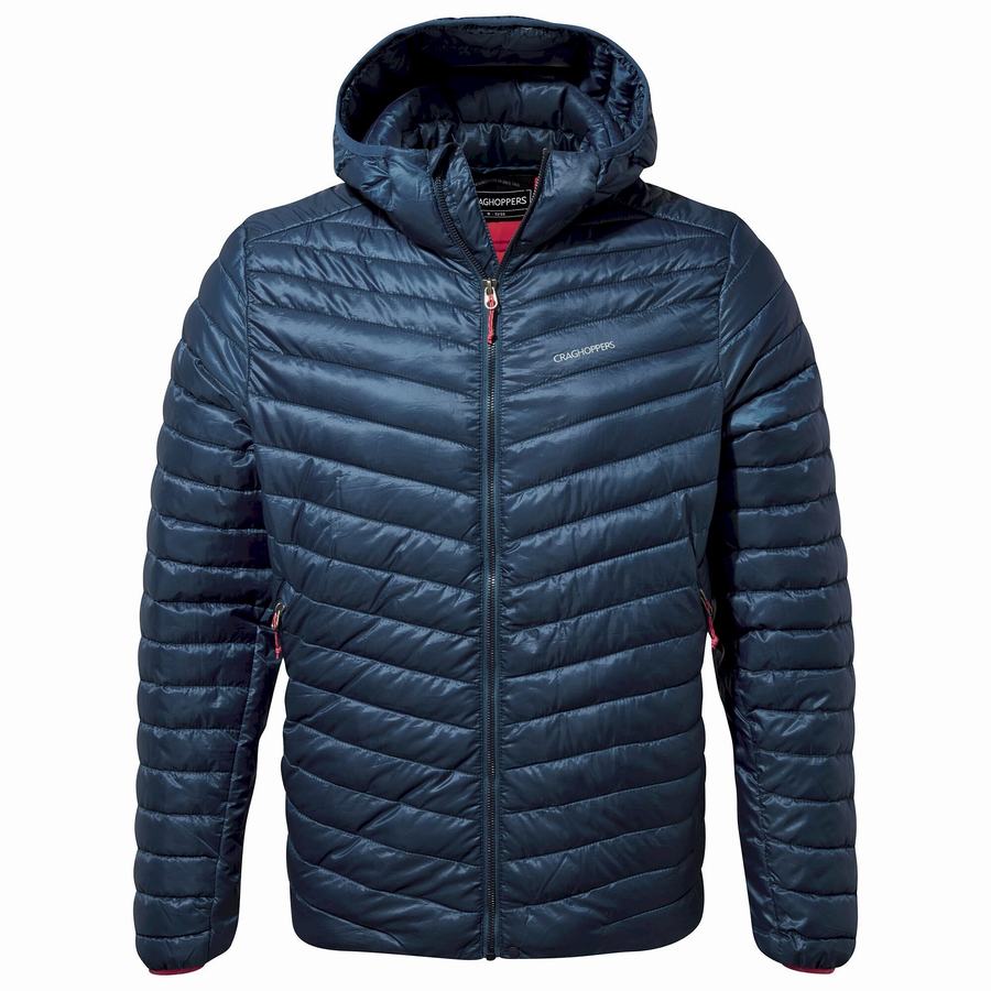 Vestes Craghoppers Insulated ExpoLite Encapuchonné Homme Bleu Marine Bleu | NBW392VA