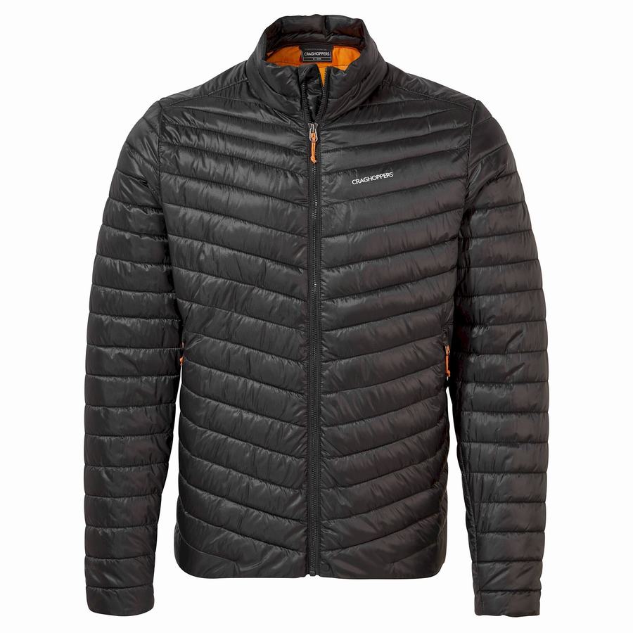 Vestes Craghoppers Insulated ExpoLite Homme Noir Orange | QDA3668AJ