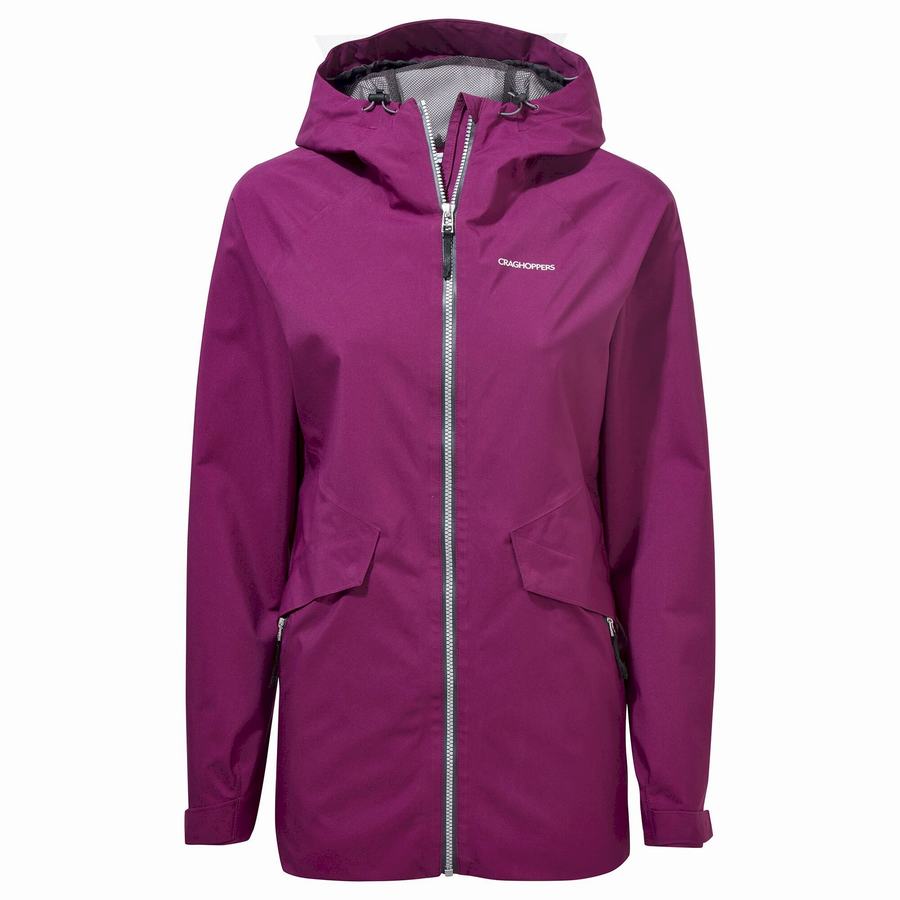 Vestes Craghoppers Minola GORE-TEX Femme Violette | UUD9951XO