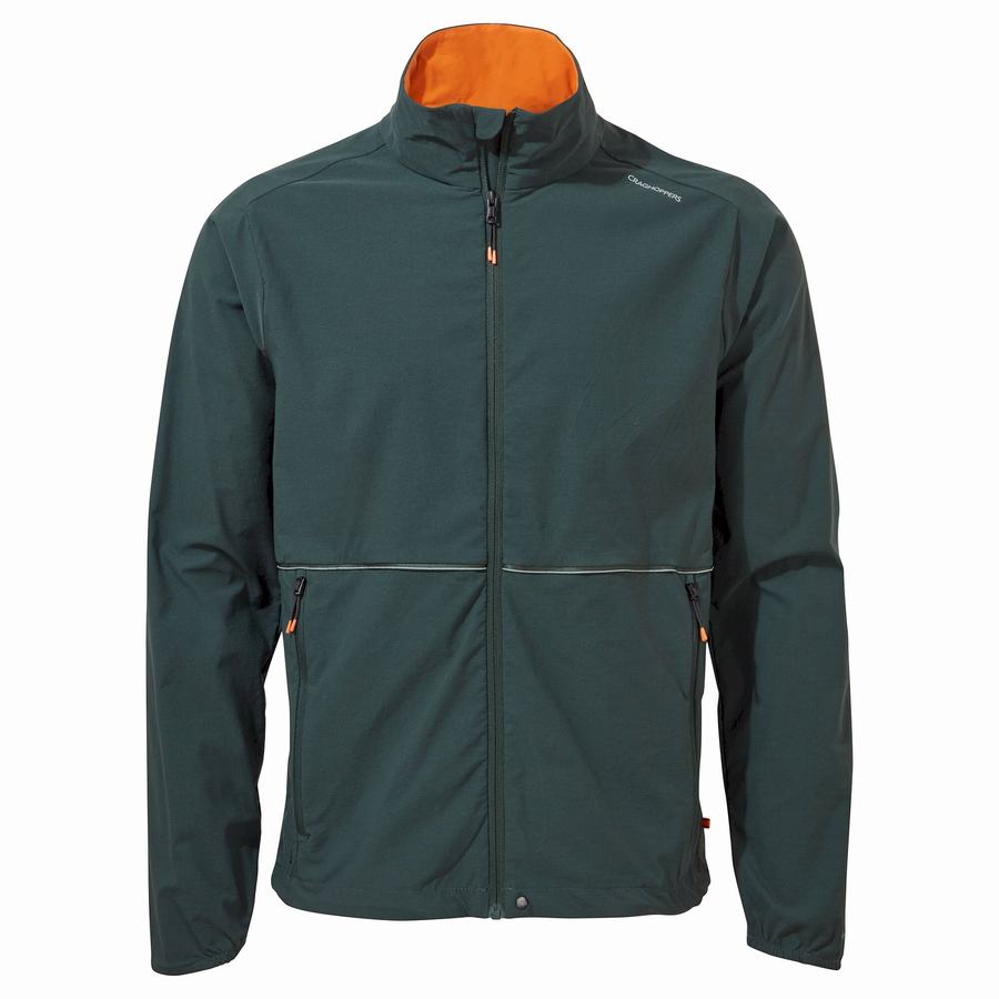 Vestes Craghoppers NosiLife Active Homme Vert | BDS526RZ