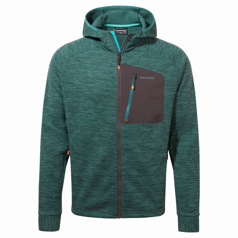 Vestes Craghoppers Tarbert Encapuchonné Homme Vert | SJI1813AT