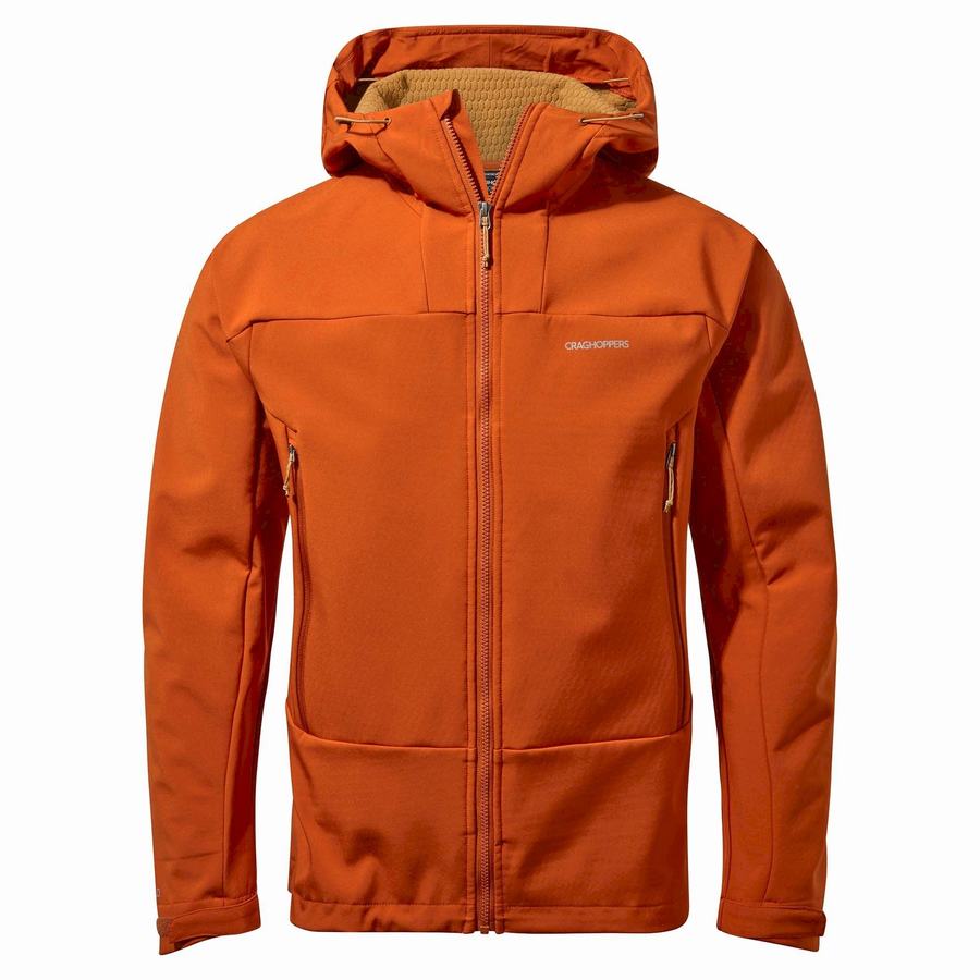 Vestes Craghoppers Tripp Encapuchonné Homme Orange | ZPN3917GX