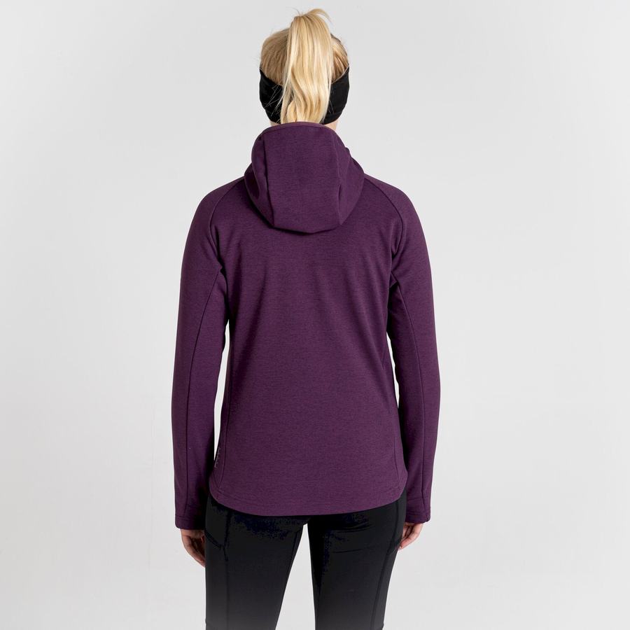 Chandails Craghoppers Dynamic Pro Encapuchonné Femme Violette Foncé | OQZ1459EL