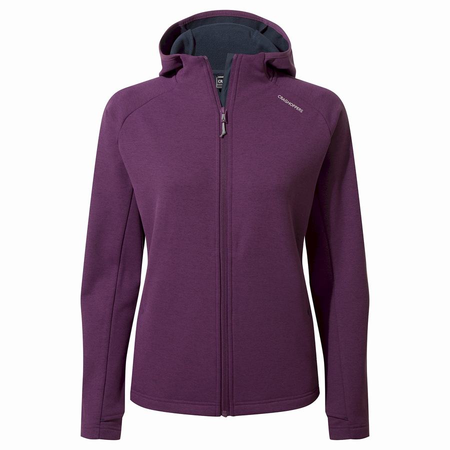 Chandails Craghoppers Dynamic Pro Encapuchonné Femme Violette Foncé | OQZ1459EL