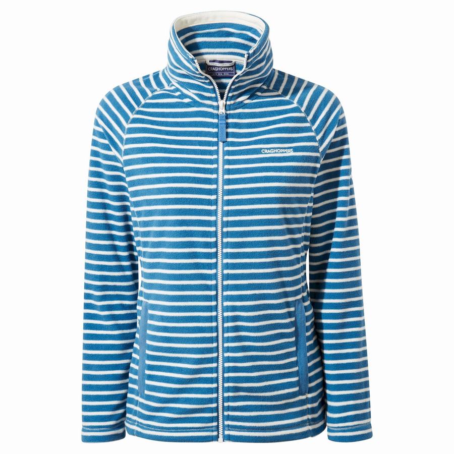 Chandails Craghoppers Ella Femme Bleu Stripes | WDO1325FH