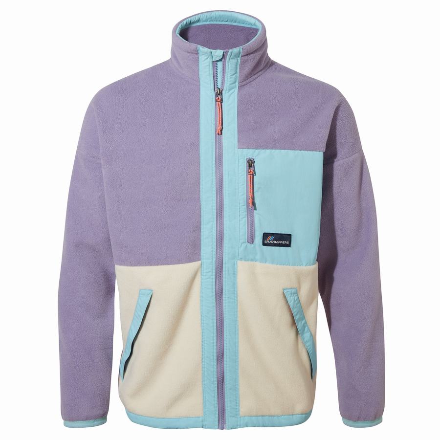 Chandails Craghoppers Spindle Homme Violette | EES884VV