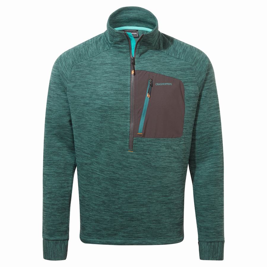 Chandails Craghoppers Tarbert Half Zip Homme Vert | SNQ2817YW