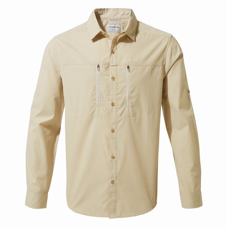 Chemises Craghoppers Kiwi Boulder Long Sleeved Homme Beige | KEO744EP