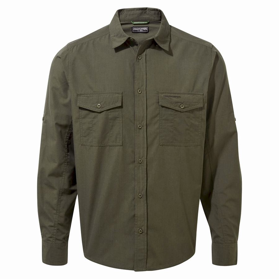 Chemises Craghoppers Kiwi Long Sleeved Homme Vert | CLF2495FX