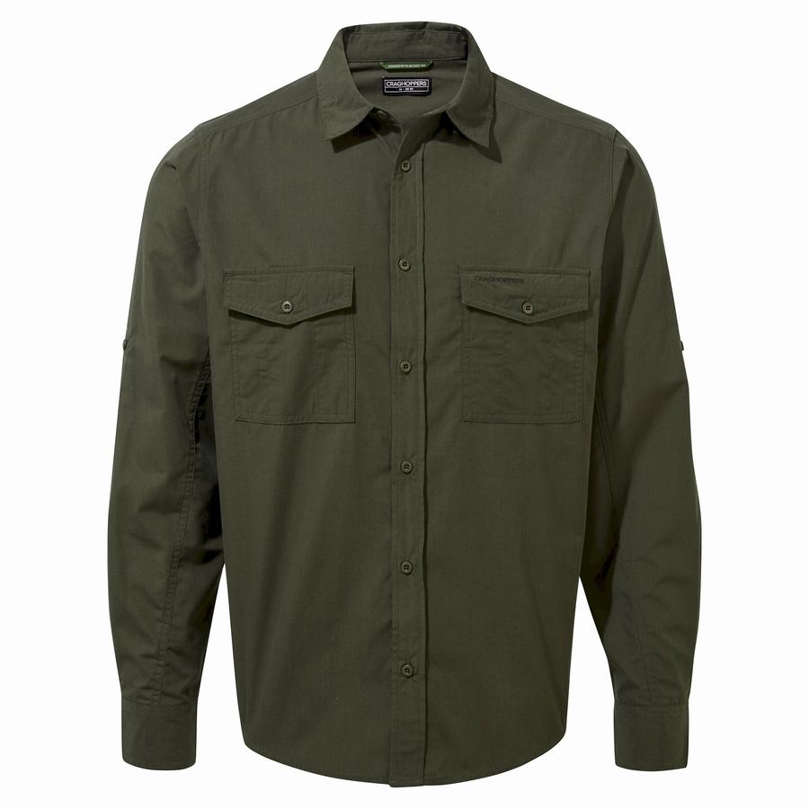 Chemises Craghoppers Kiwi Long Sleeved Homme Vert | CLF2495FX