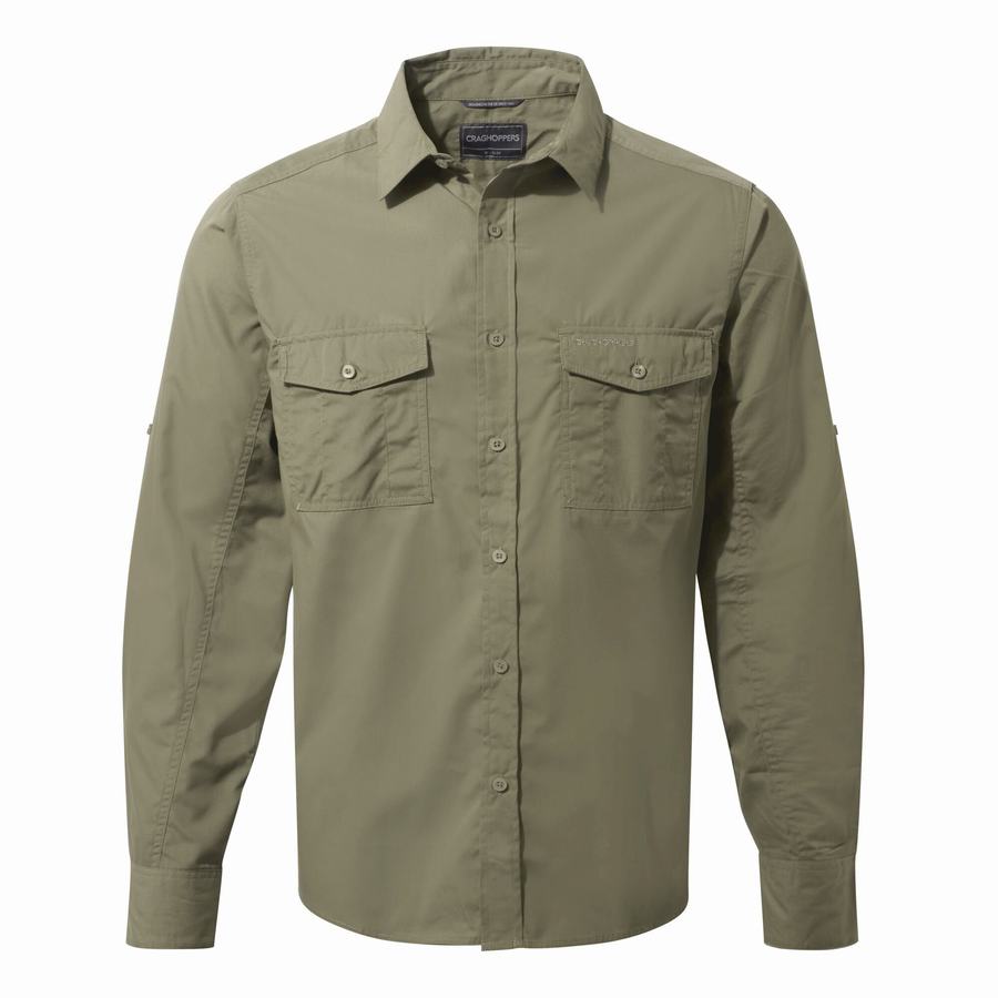 Chemises Craghoppers Kiwi Long-Sleeved Homme Vert | TIO4938TI