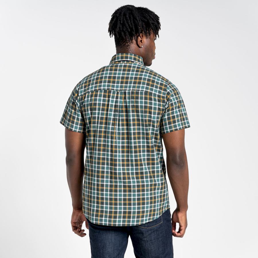 Chemises Craghoppers Menlo Corta Sleeved Homme Vert | RKJ122QF