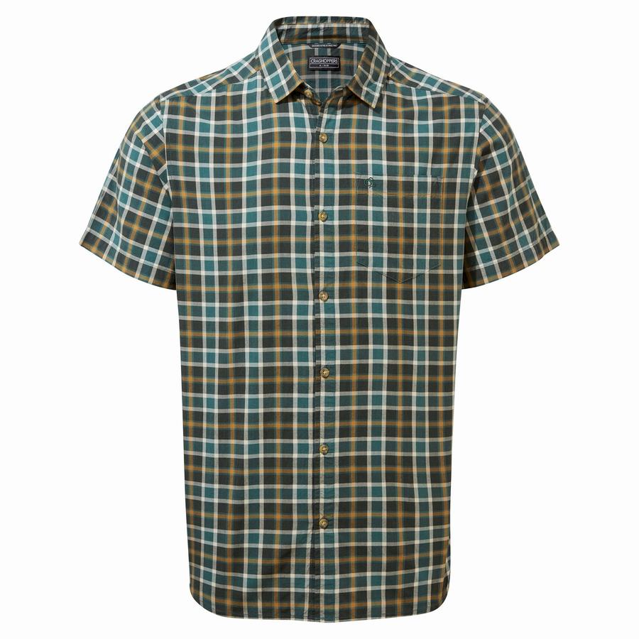 Chemises Craghoppers Menlo Corta Sleeved Homme Vert | RKJ122QF