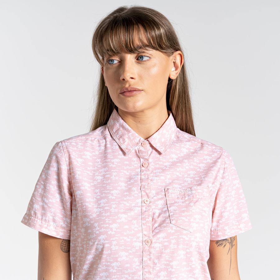 Chemises Craghoppers NosiLife Tillia Corta Sleeved Femme Rose | FEP7082OI