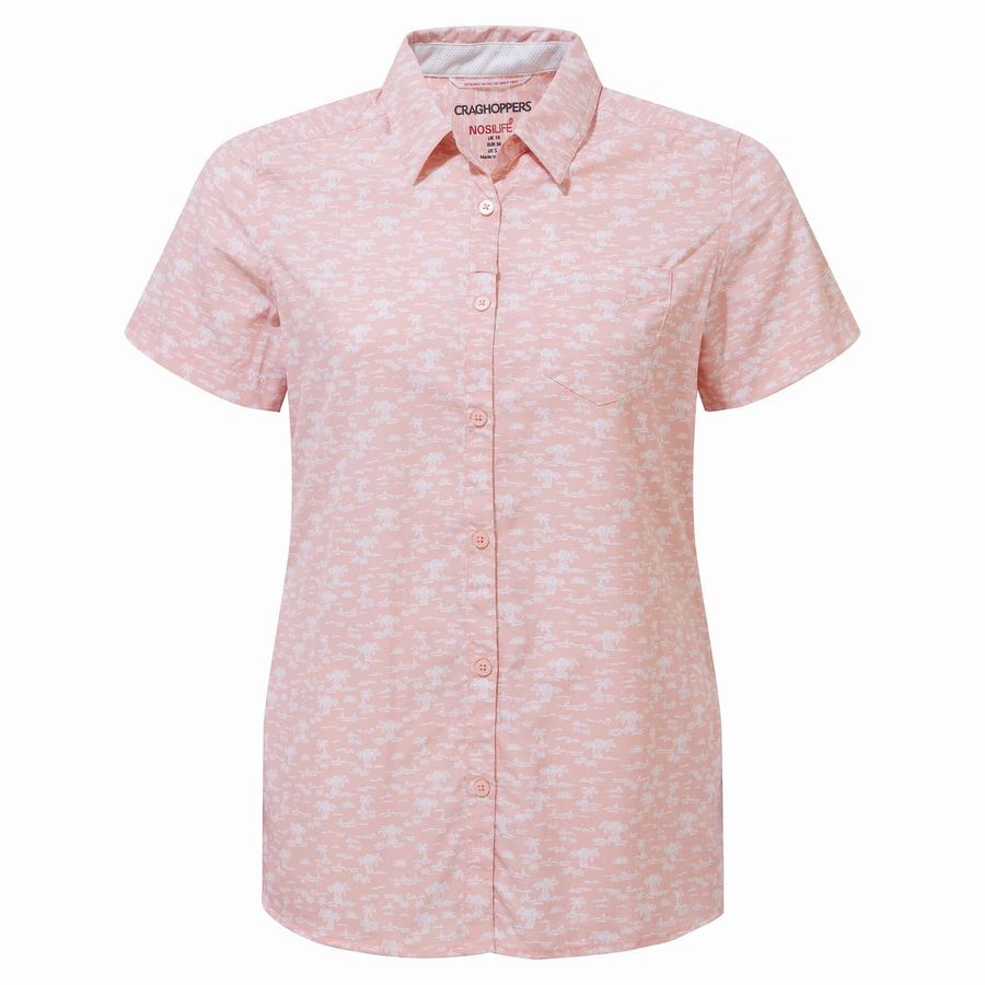 Chemises Craghoppers NosiLife Tillia Corta Sleeved Femme Rose | FEP7082OI