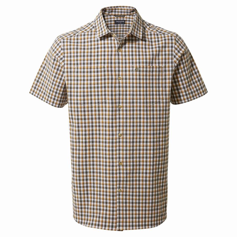 Chemises Craghoppers Nour Corta Sleeved Check Homme Vert | OIA2092EI