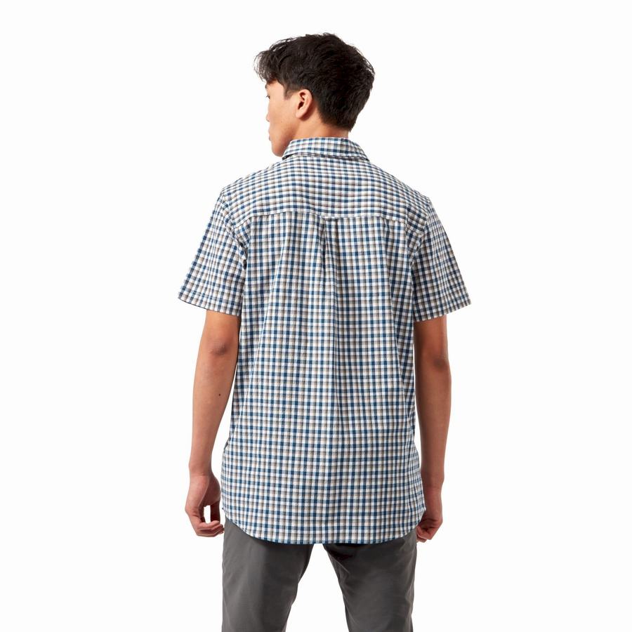 Chemises Craghoppers Nour Corta Sleeved Check Homme Bleu Bleu Marine | YNS9143JQ