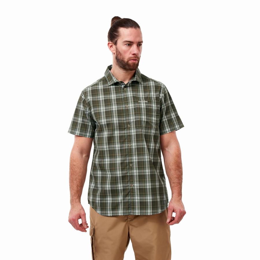 Chemises Craghoppers Vernon Corta Sleeved Homme Vert | ZIZ3944NO