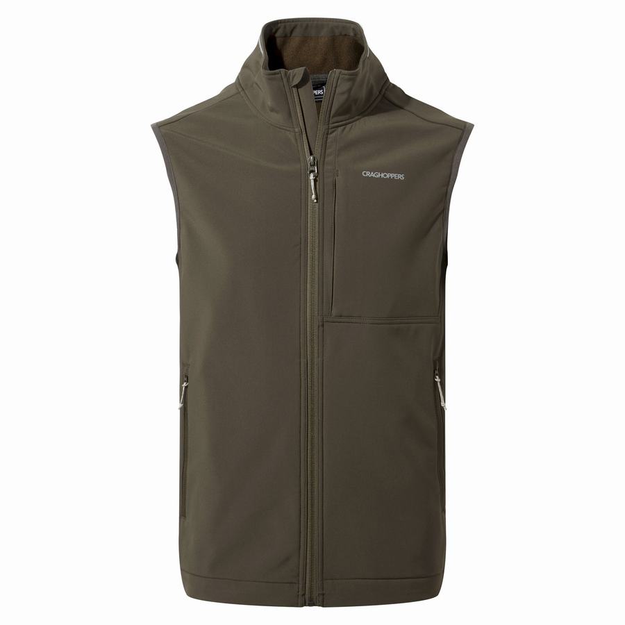 Gilet Craghoppers Altis Vest Homme Vert | PBB237RV