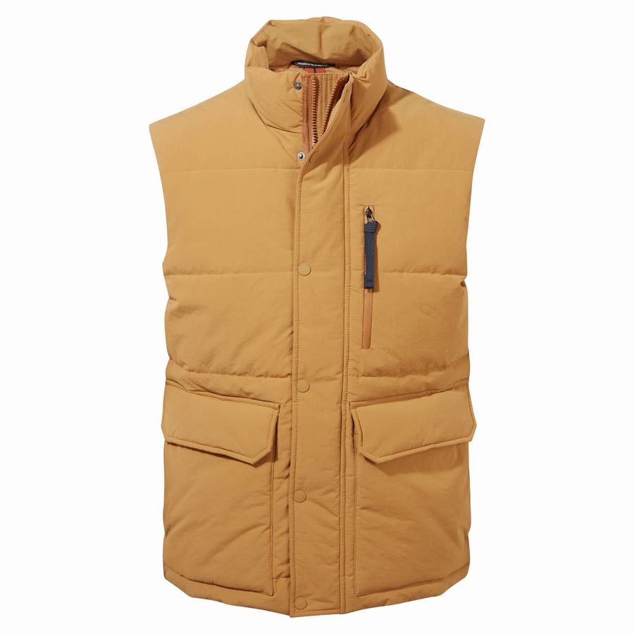 Gilet Craghoppers Dunbeath Vest Homme Grise Marron | GCN3435EA