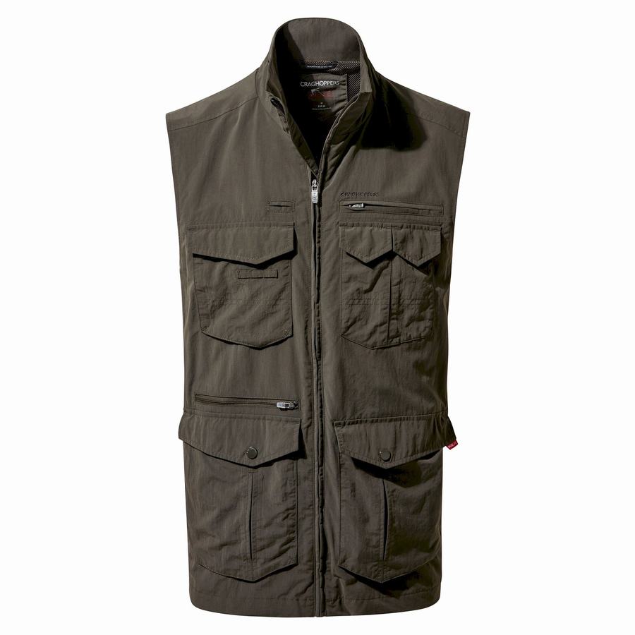 Gilet Craghoppers NosiLife Adventure II Homme Vert | LML9954QQ