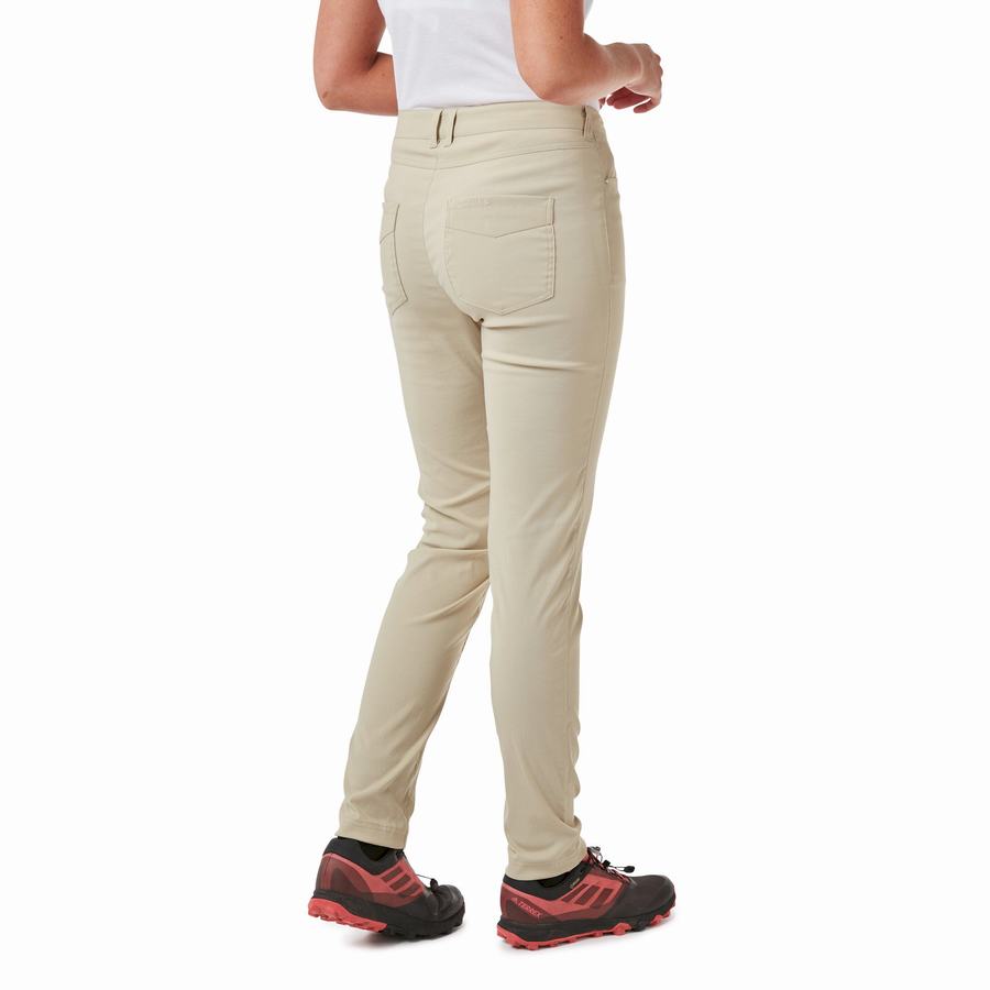 Pantalons Craghoppers Adventure Femme Marron | ODP5414WN