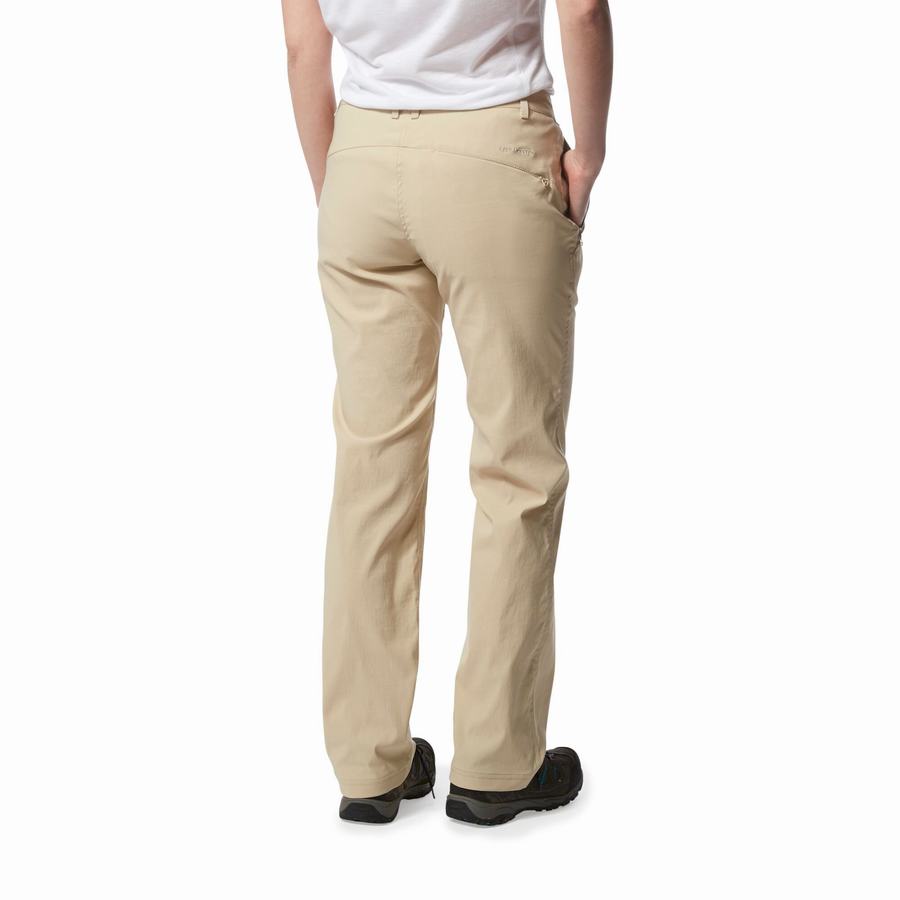 Pantalons Craghoppers Kiwi Pro II Femme Marron | OTB7238NF