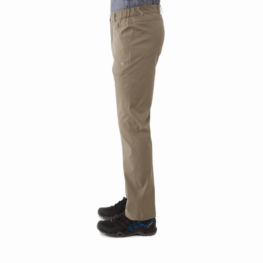 Pantalons Craghoppers Kiwi Pro II Homme Kaki | KNW5832LF