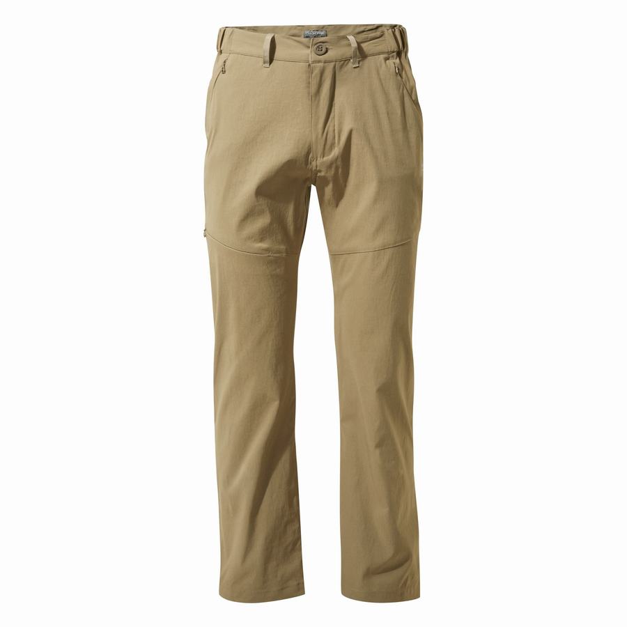 Pantalons Craghoppers Kiwi Pro II Homme Kaki | TBV6426KY