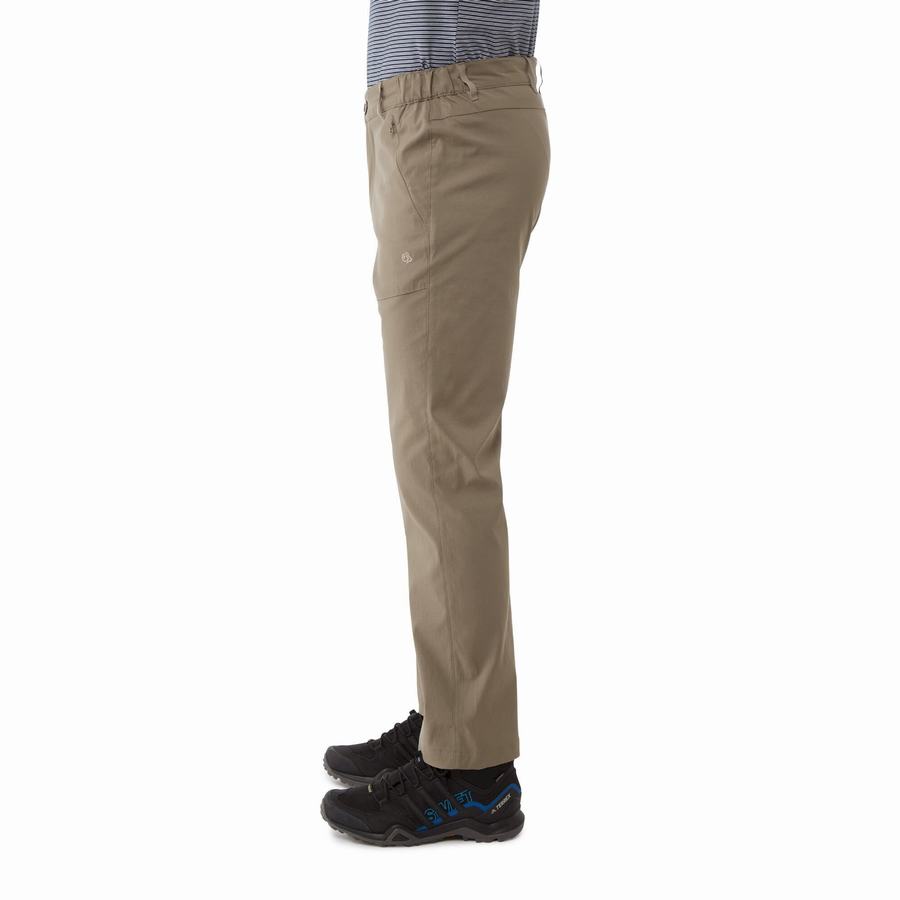 Pantalons Craghoppers Kiwi Pro II Homme Kaki | TBV6426KY