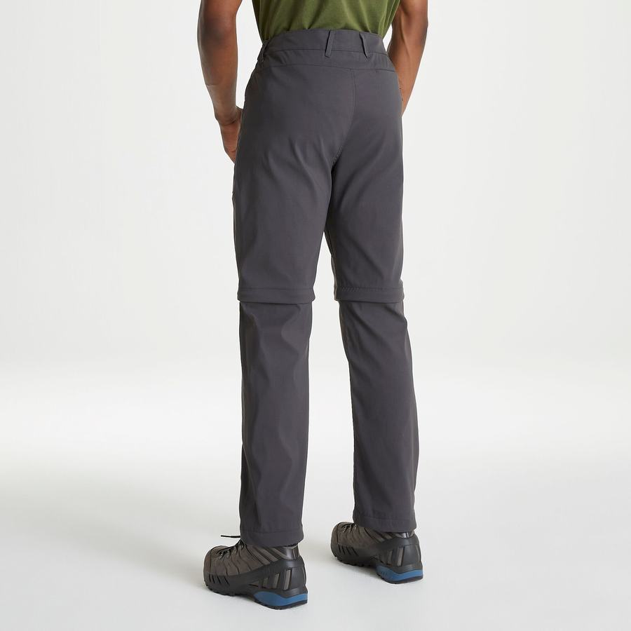 Pantalons Craghoppers Kiwi Pro II Homme Grise | THX6615VE